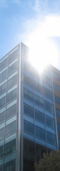 Conscious Business Evolution